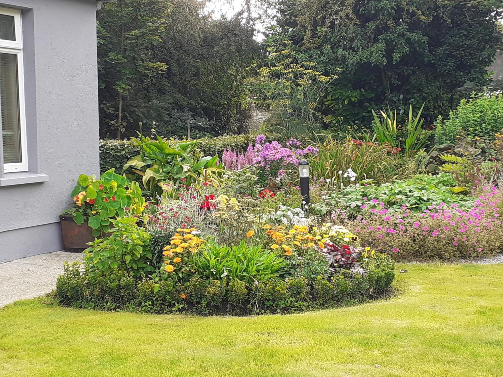 Conways B&B Claremorris Eksteriør bilde