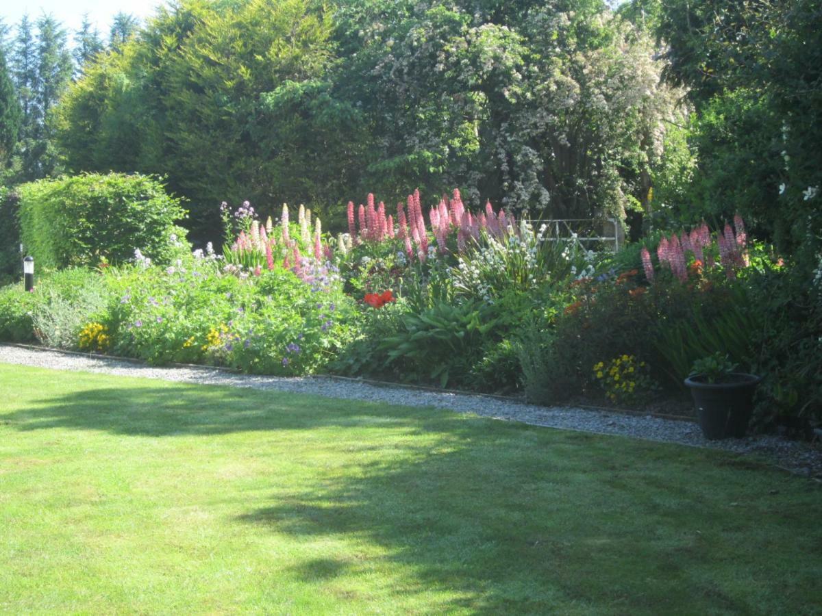 Conways B&B Claremorris Eksteriør bilde